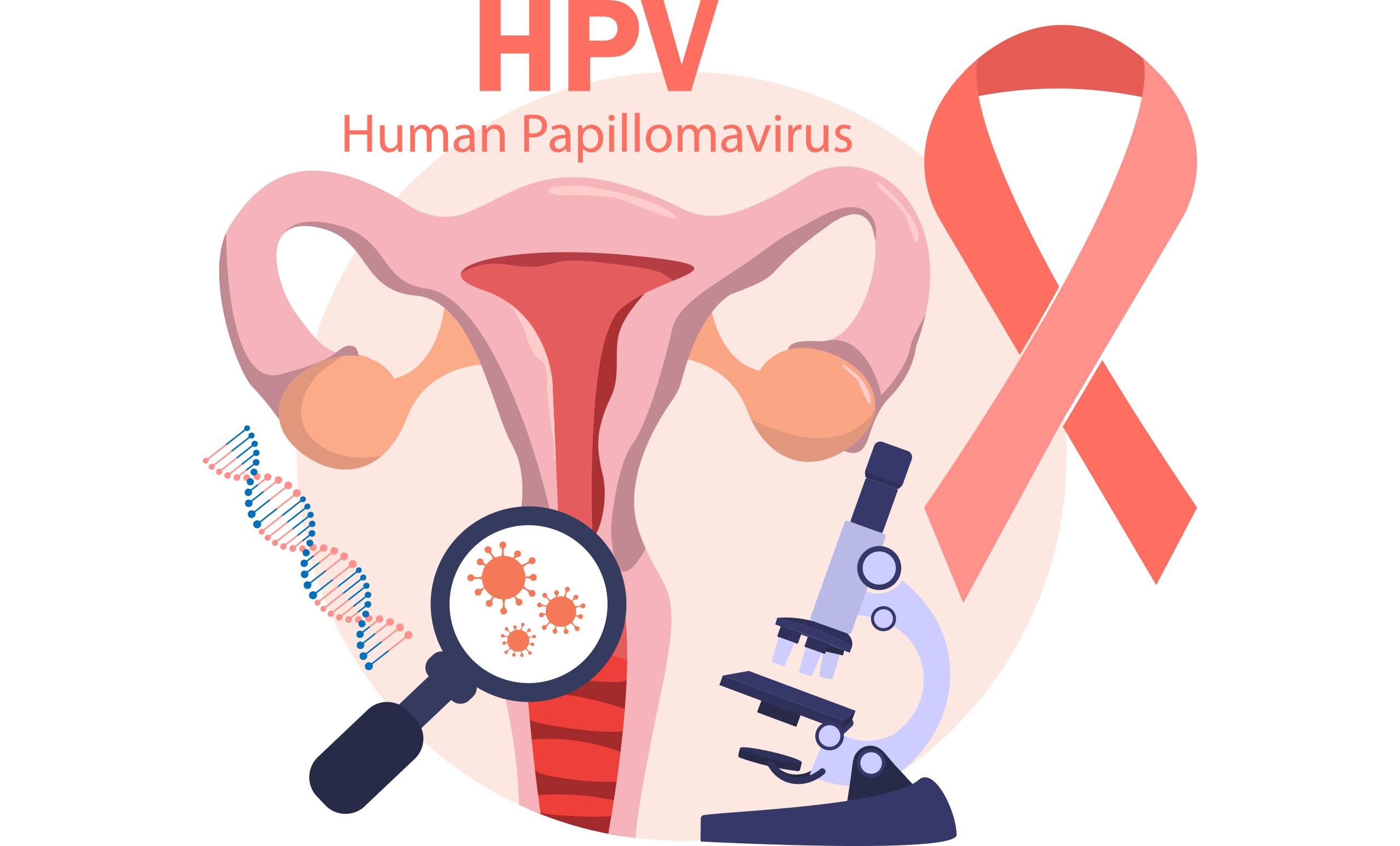 HPV graphic