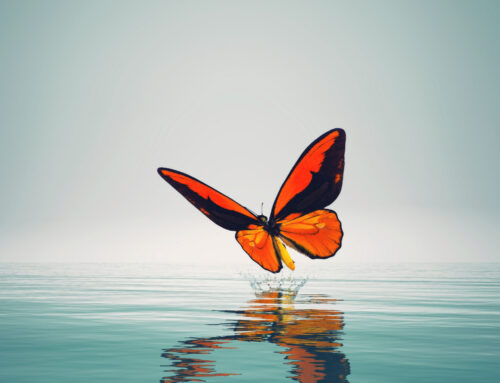 Signs of End of Life in Hospice Care