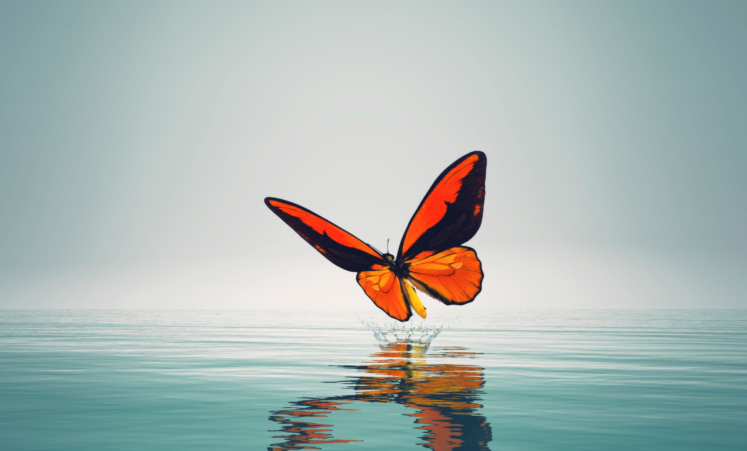What are the signs that someone is reaching the end of life ascend