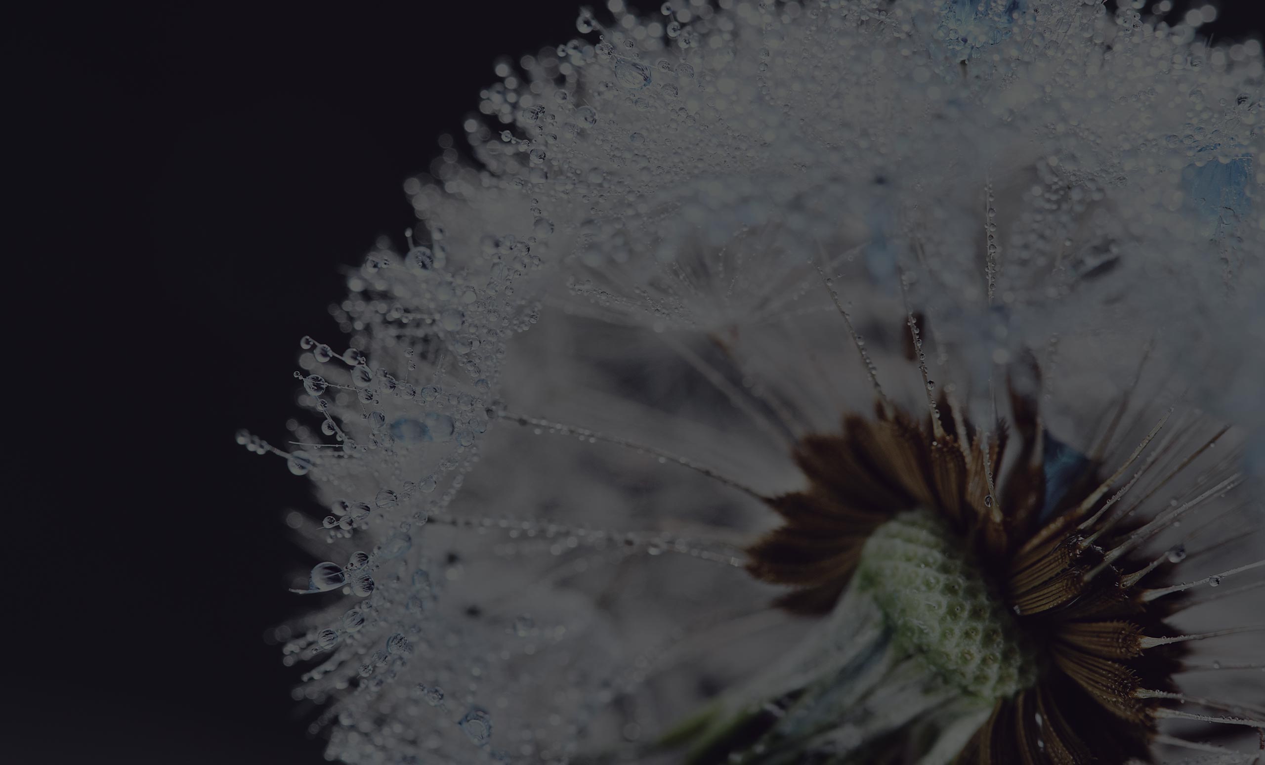 Leavitt Funeral Home Obituaries: Understanding End Of Life Care - jxfeu97