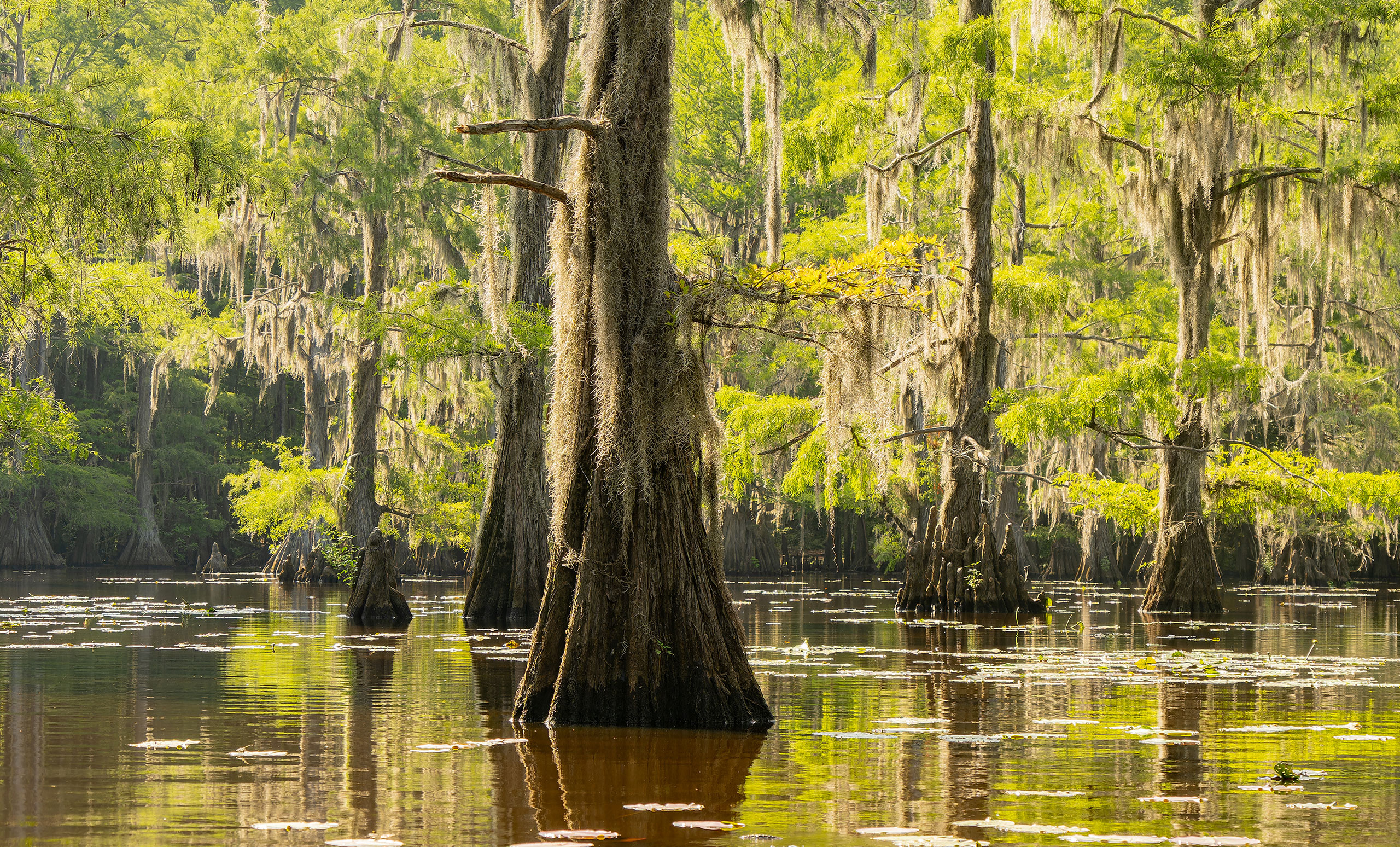 Liberty County, Texas