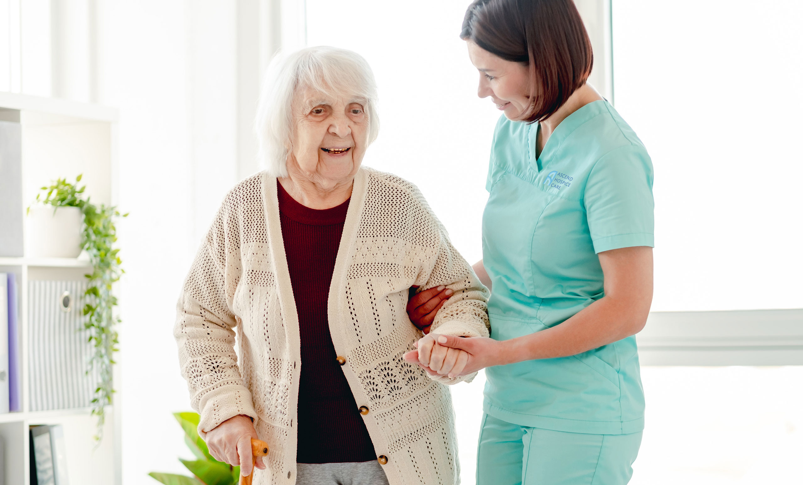 hospice medicare``